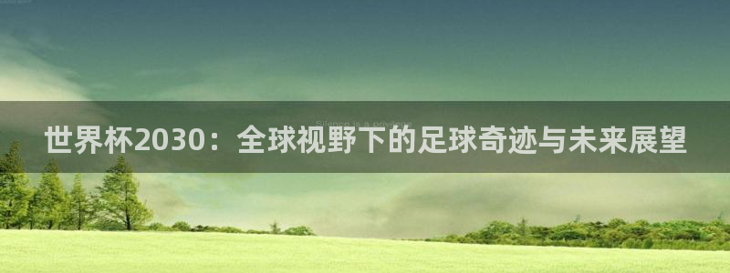 世界杯直播网站：世界杯2030：全球视野下的足球奇迹与未来展望