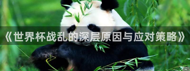今天所有足球赛程表：《世界杯战乱的深层原因与应对策略》