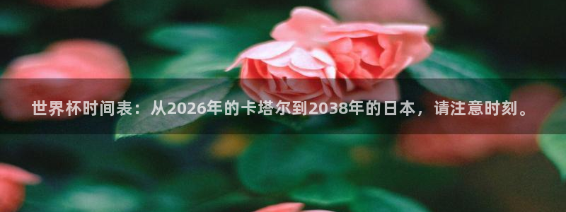 世界杯预选赛欧洲区赛程：世界杯时间表：从2026年的卡塔尔到2038年的日本，请注意时刻。