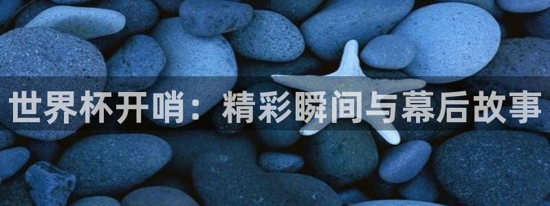 免费看足球直播比赛：世界杯开哨：精彩瞬间与幕后故事
