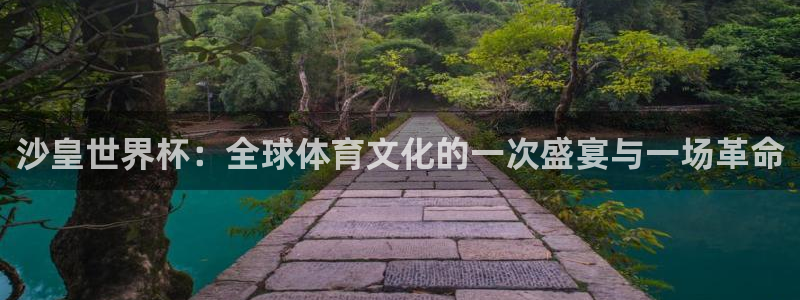 世界杯预选赛亚洲区赛程：沙皇世界杯：全球体育文化的一次盛宴与一场革命