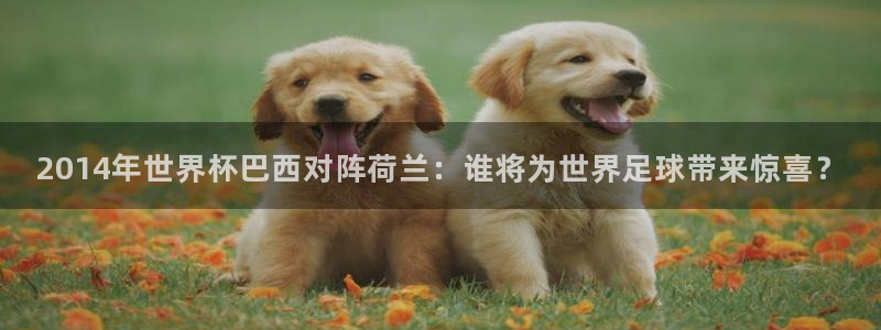 世界杯葡萄牙赛程：2014年世界杯巴西对阵荷兰：谁将为世界足球带来惊喜？