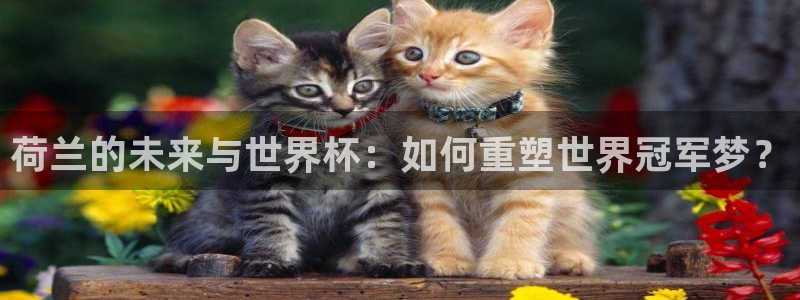 葡萄牙世界杯赛程：荷兰的未来与世界杯：如何重塑世界冠军梦？