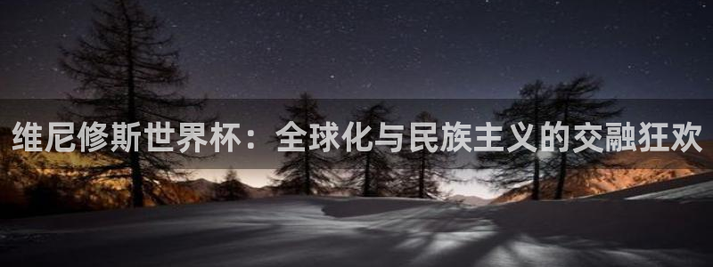 2006世界杯：维尼修斯世界杯：全球化与民族主义的交融狂欢