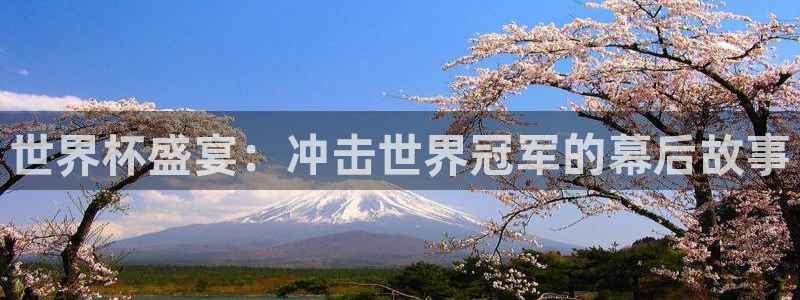世界杯视频：世界杯盛宴：冲击世界冠军的幕后故事