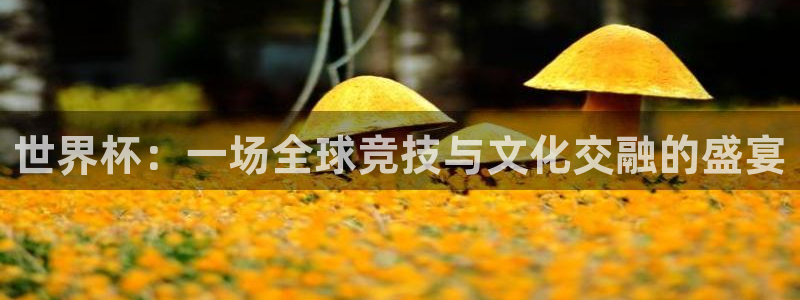2026世界杯德国队阵容：世界杯：一场全球竞技与文化交融的盛宴