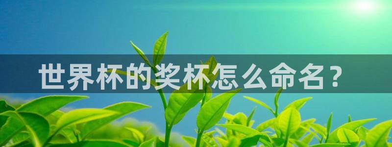 世界杯直播观看：世界杯的奖杯怎么命名？